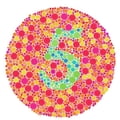 An Informative Guide About Color Blindness