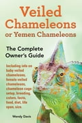 Veiled Chameleons or Yemen Chameleons as Pets. Info on Baby Veiled Chameleons, Female Veiled Chameleons, Chameleon Cage Setup, Breeding, Colors, Facts