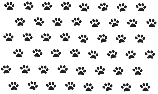 WallPops Paw Prints Wall Art Kit - 30-in x 50-in