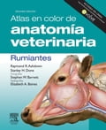 Atlas en color de anatomía veterinaria. Rumiantes + Evolve