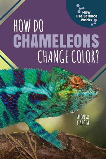 How Do Chameleons Change Color?