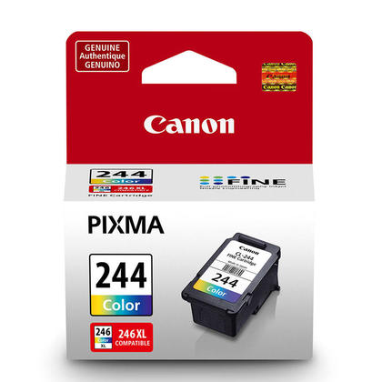 Canon PIXMA MG2522 Canon CL-244 Color Ink Cartridge (1288C001)