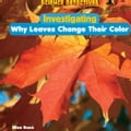 Investigating Why Leaves Change Their Color