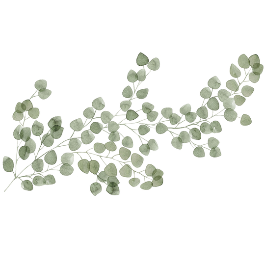 WallPops Eucalyptus Wall Art Kit