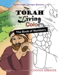 The Torah In Living Color: The Book of Numbers - Children's Coloring Book