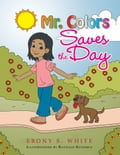 Mr. Colors Saves the Day