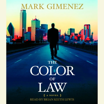 The Color of Law: A Novel