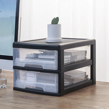 Desktop 2-Drawer Storage Bin, Plastic