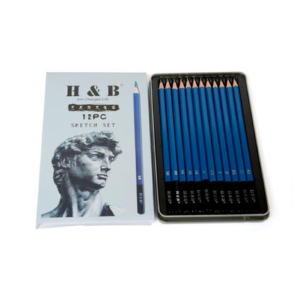Professional Drawing Sketch Pencils, Set of 12, Medium (6B - 4H)
