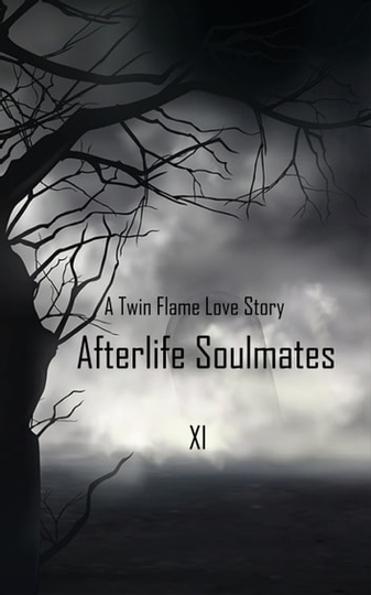 Afterlife Soulmates: A Twin Flame Love Story
