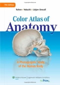Color Atlas of Anatomy