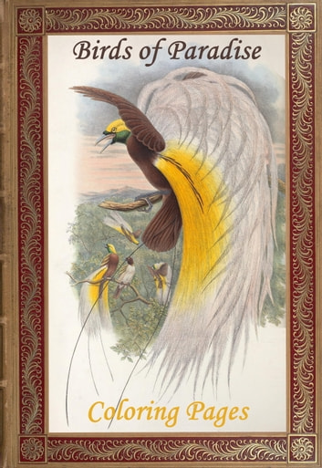 Birds of Paradise. 115 Coloring Pages. Print Coloring Book.