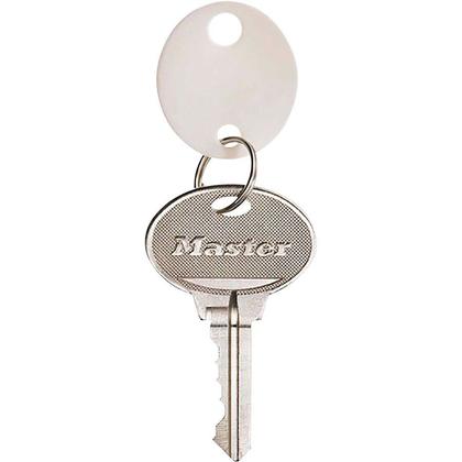 Master Lock, 7116D Plastic Key Tags, 20/pack