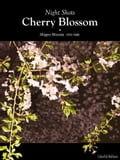 Night shots: Cherry Blossom