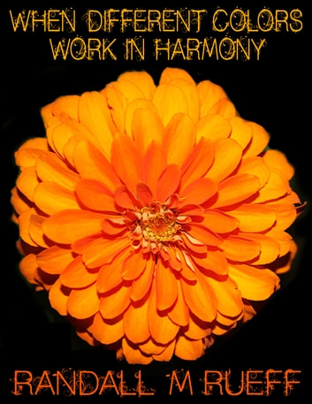 When Different Colors Work In Harmony