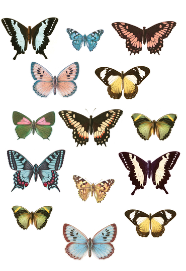 WallPops Spread Your Wings Wall Art Kit