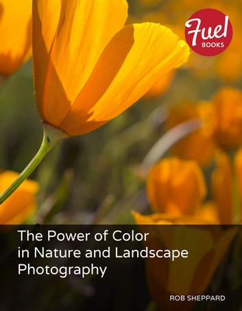 Power of Color in Nature and Landscape Photography, The