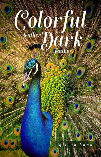 Colorful feather, Dark feather